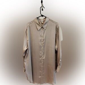 H&M Elegant Taupy Dress/Shirt